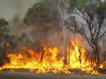 Bushfire Risk Increases