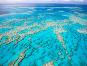 Grat Barrier Reef At Risk